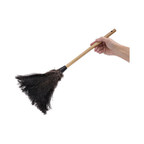 Image of Boardwalk® BWK20BK Professional Ostrich Feather Duster, 10" Wood Handle