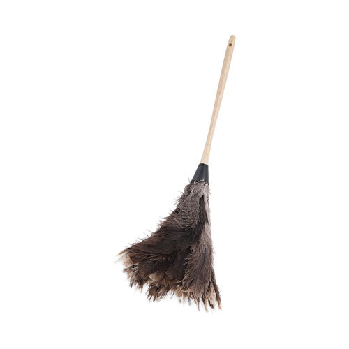 Image of Boardwalk® BWK23FD Professional Ostrich Feather Duster, 13" Wood Handle