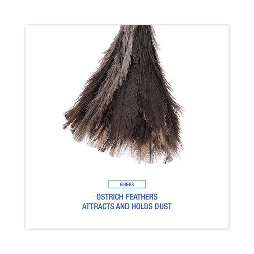 Image of Boardwalk® BWK23FD Professional Ostrich Feather Duster, 13" Wood Handle
