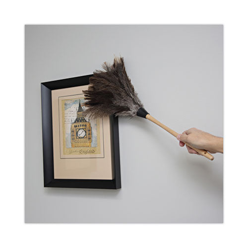 Image of Boardwalk® BWK23FD Professional Ostrich Feather Duster, 13" Wood Handle