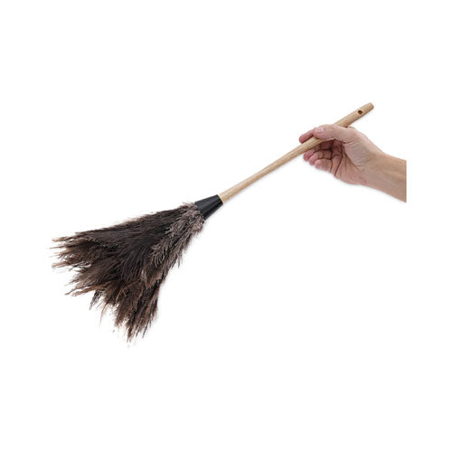 Image of Boardwalk® BWK23FD Professional Ostrich Feather Duster, 13" Wood Handle