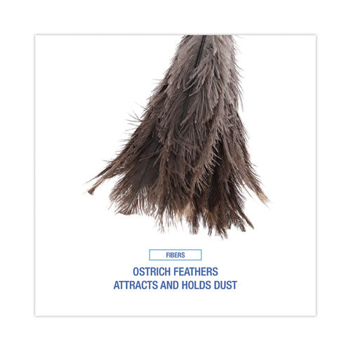 Image of Boardwalk® BWK31FD Professional Ostrich Feather Duster, 16" Wood Handle, 12" Gray Bristle