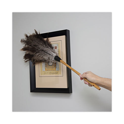 Image of Boardwalk® BWK31FD Professional Ostrich Feather Duster, 16" Wood Handle, 12" Gray Bristle