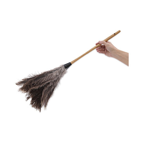 Image of Boardwalk® BWK31FD Professional Ostrich Feather Duster, 16" Wood Handle, 12" Gray Bristle