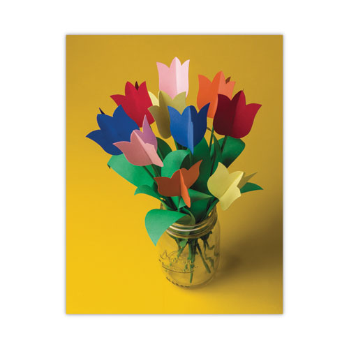 Image of Pacon® P103031 Tru-Ray Construction Paper, 76 lb Text Weight, 9 x 12, Assorted Standard Colors, 50/Pack