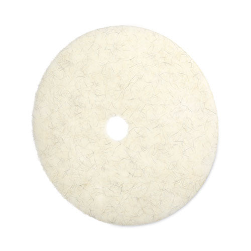 Image of Boardwalk® 7000126619 Natural Burnishing Floor Pads, 27" Diameter, White, 5/Carton