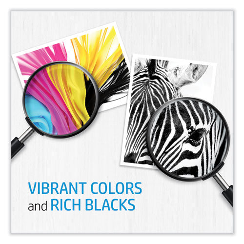 Image of HP C9380A HP 72, (c9380a) Gray/photo Black Printhead