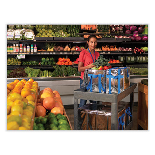 Image of PackIt® PKF-UD-MAG Fresh Eco Freeze Tote, (2) Blue Nylon Shoulder Straps, (2) Blue Nylon Strap Handles, 13.5" x 9" x 13", Silver/Blue, 4/Carton