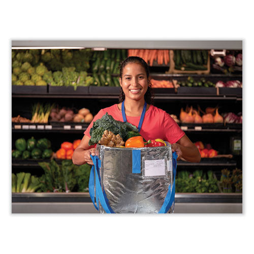 Image of PackIt® PKF-UD-MAG Fresh Eco Freeze Tote, (2) Blue Nylon Shoulder Straps, (2) Blue Nylon Strap Handles, 13.5" x 9" x 13", Silver/Blue, 4/Carton
