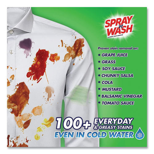 Image of SPRAY 'n WASH® 62338-00230 Stain Remover, 22 Oz Spray Bottle