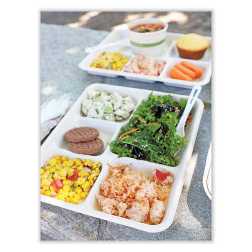 Image of World Centric® TR-SC-5C-LFS Fiber Foodservice Trays, 5 Compartments, 8.5 x 10.24 x 1.01, Natural, Paper, 400/Carton