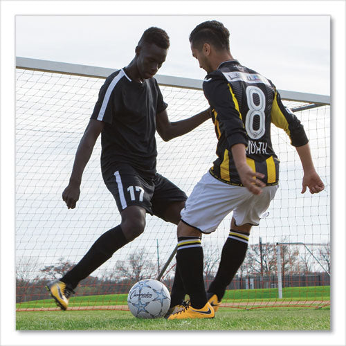 Image of Champion Sports Viper Soccer Ball, No. 5. Size, 8.5" To 9" Diameter, White