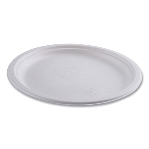 Image of Eco-Products® EP-P005NFA Vanguard Renewable And Compostable Sugarcane Plates, 10" Dia, White, 500/carton
