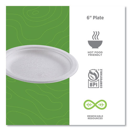 Image of Eco-Products® EP-P016NFA Vanguard Renewable And Compostable Sugarcane Plates, 6" Dia, White, 1,000/carton