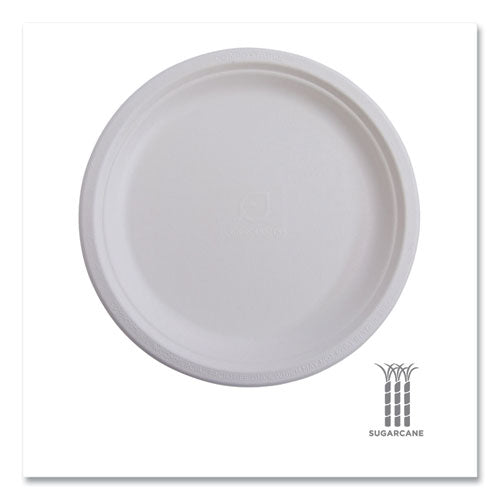 Image of Eco-Products® EP-P016NFA Vanguard Renewable And Compostable Sugarcane Plates, 6" Dia, White, 1,000/carton