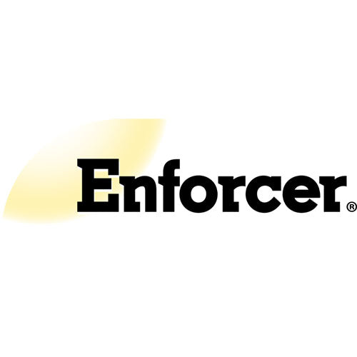 Image of Enforcer® EWHIK16 Wasp and Hornet Spray, 16 oz Aerosol Spray, 12/Carton